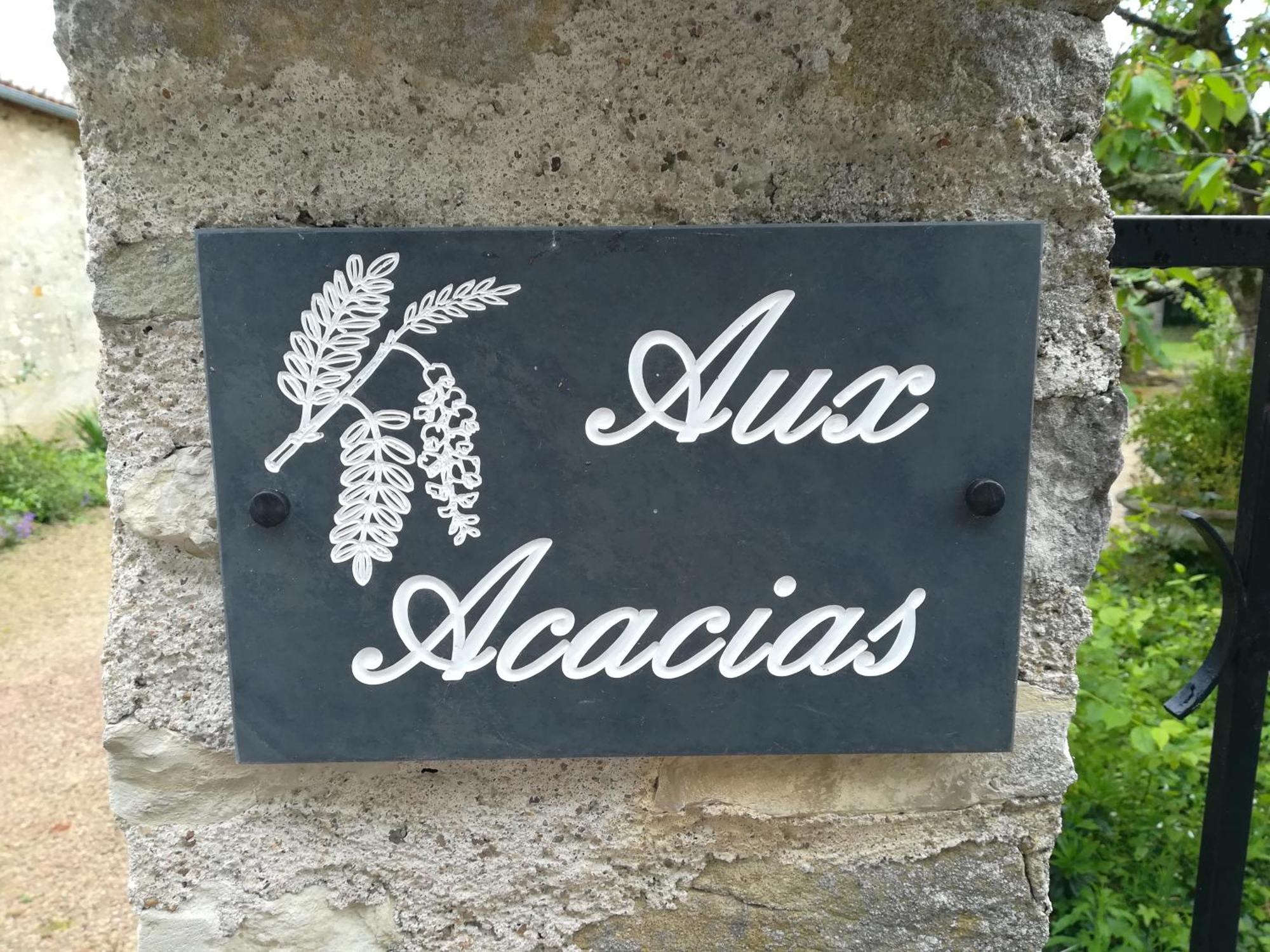 Villa Aux Acacias Braye-sous-Faye Exterior foto